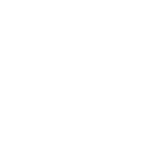 logo8161.png